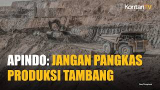 Krisis Energi, Apindo Sarankan Pemangkasan Produksi Tambang Tidak Lebih dari 10%