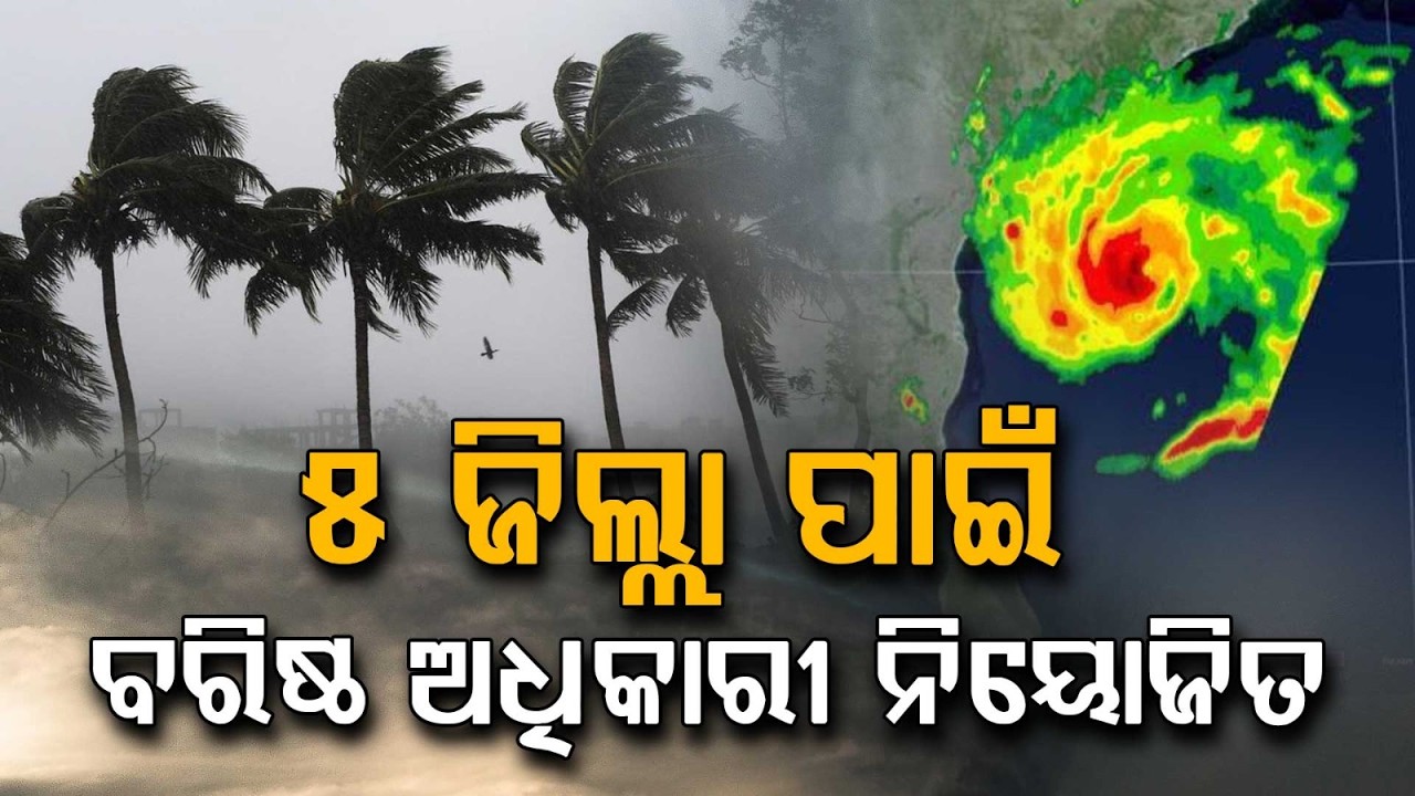 Odisha Govt Deploys 5 Senior Officers in Rain-Hit Districts | Weather Alert | Argus News