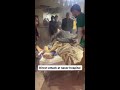 Eyewitness Exclusive : Disturbing Footage : Gunfire and Panic Inside Gazas Nasser Hospital | News9.