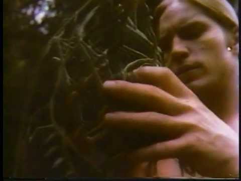 The Gardener'