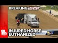 Horse trained by Bob Baffert euthanized after injury at Pimlico