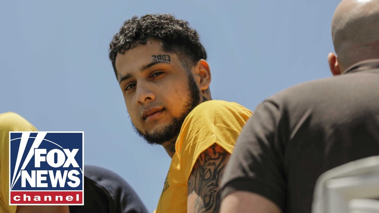 More than 300 suspected Tren de Aragua members taken into custody: Former acting ICE director