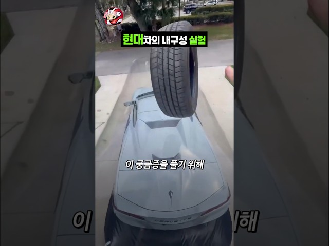현대차의 특별한 내구성 실험