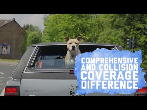 Comprehensive and Collision Coverage Difference