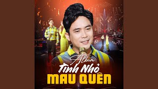 Tình Xưa Vụng Dại