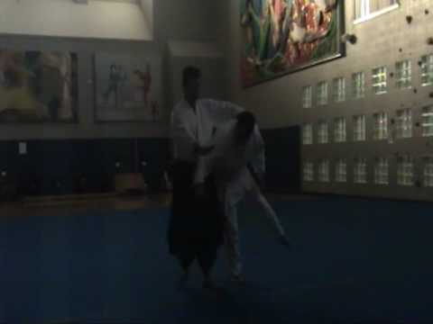 Aikido ve Fizik