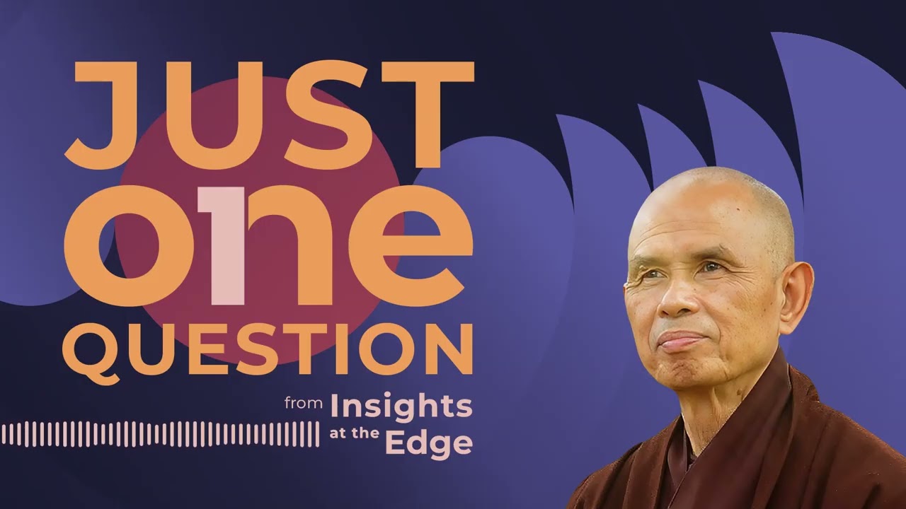 Thich Nhat Hanh: What Is the Root Cause Of Our Social Problems? | Insights at the Edge
