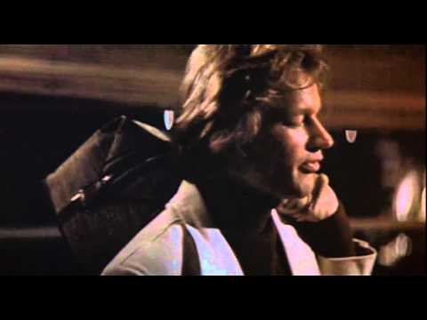 The Long Goodbye'