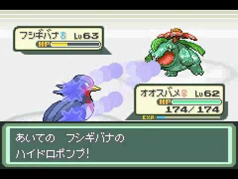 Pokemon Gaia Version Ep 3 I M Fired Up By Zhen2112