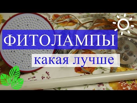Картинки уже почти зима