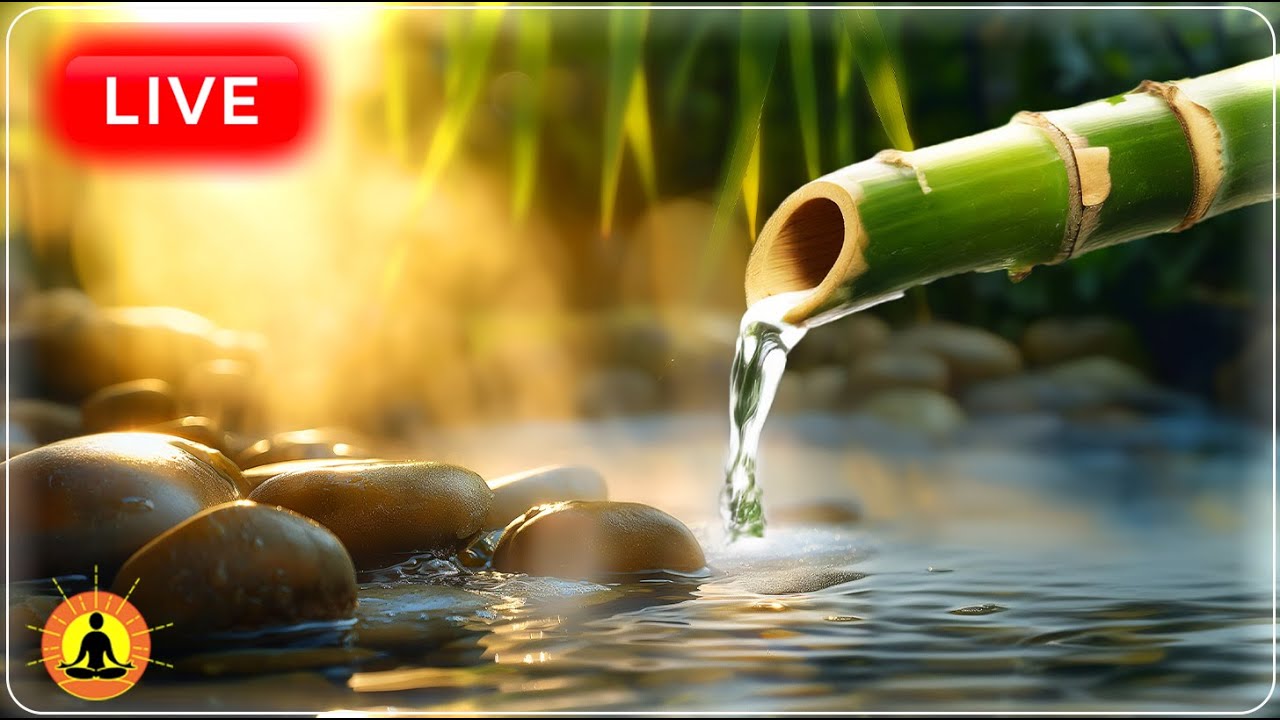 🔴 Relaxing Music for Sleep 24/7 🍃2772: Trickling Sound of Water | Meditation Music for Stress Relief