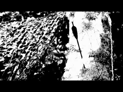 The Kill Hole'