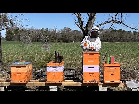 screenshot of youtube video titled Clemson Research Supporting Beekeepers | Making It Grow