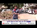 Delhi Storm: दिल्ली के कई इलाक़ों में पेड़ उखड़े, घरों को नुकसान | NDTV India  - 03:38 min - News - Video