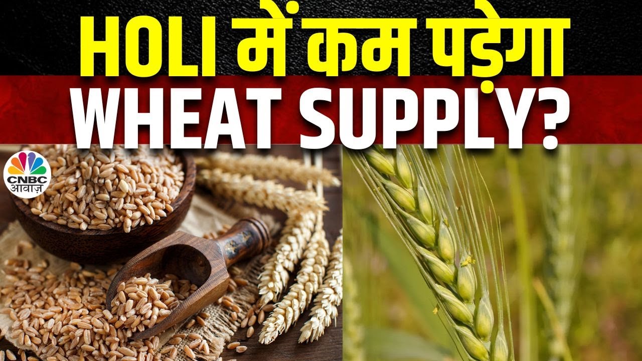 Wheat Stock Limit News | गेहूं पर Stock Limit हटने के बाद क्या करें Traders? जानें Experts की राय