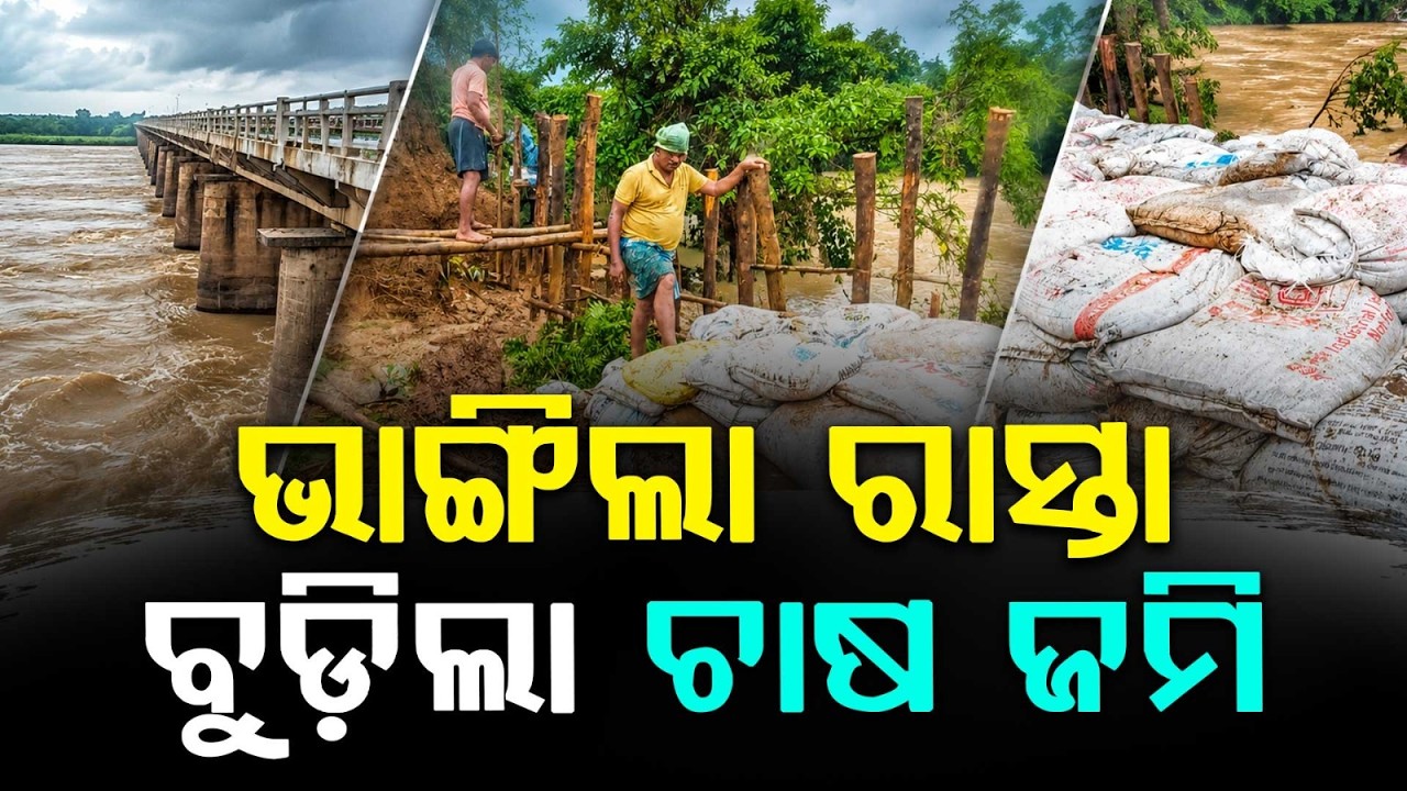 Athagarh Flood Fury: Sapua River Swells Again, Hundreds of Hectares of Crops Destroyed | Argus News