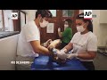 Un grupo sin fines de lucro ayuda a rehabilitar animales que tienen quemaduras en Río de Janeiro  - 01:52 min - News - Video
