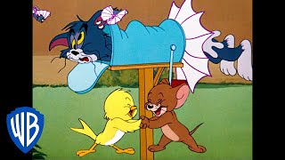 Tom a Jerry - Pták
