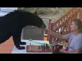 Viral Video: अपने मालिक के साथ Table पर बैठकर शतरंज खेलता है ये भालू, साथ में खाता है Snacks