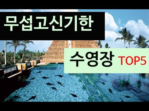 (랭킹박스)무섭고신기한 수영장 TOP 5