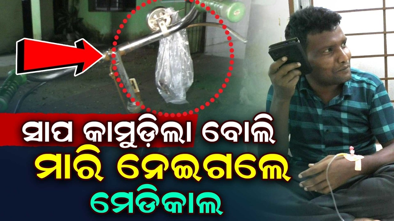 ସାପ କାମୁଡ଼ିଲା ବୋଲି... | Snake Bite Case | Mayurbhanj | Udala | Odisha News | Argus News
