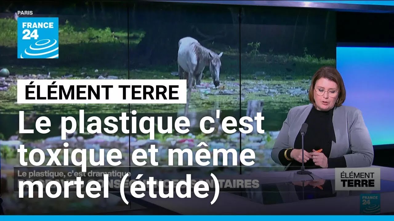 Le plastique nous vole des années de vie (étude) • FRANCE 24
