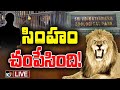 Live: Lion Incident in Tirupati Zoo Park | తిరుపతి జూ పార్క్‌లో ట్రాజెడీ | 10tv