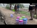 Elvish Yadav Case: जांच के बाद सांपों को जंगल में छोड़ा गया  - 02:57 min - News - Video