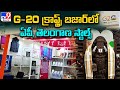 Watch: AP, Telangana Stalls in G-20 Crafts Bazaar