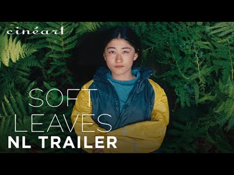 Soft Leaves'