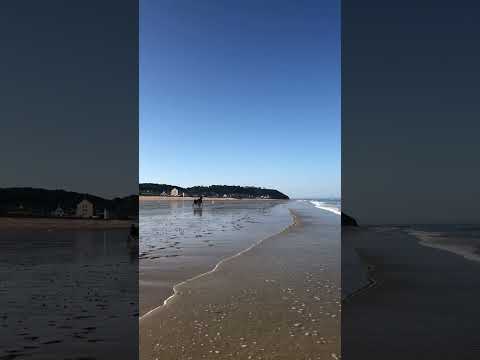 Vidéo de l’hébergement