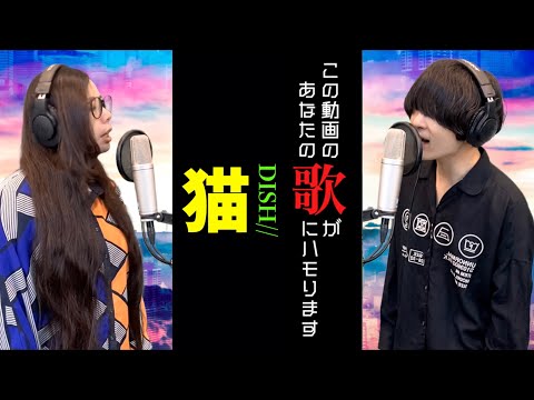 視聴者と一緒に歌いたい「猫・DISH//」