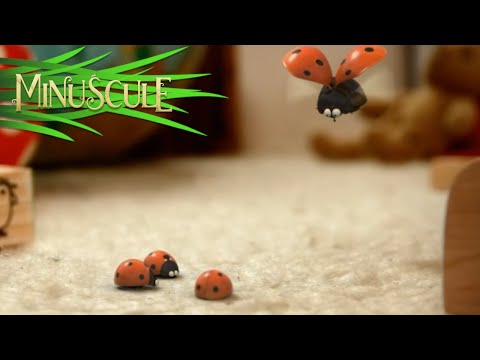 Miniscule - kompilcia 11