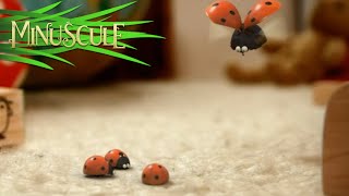 Miniscule - kompilácia 11