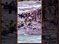 Massive turnout at Pushkar Kumbh in Chamoli as devotees take holy dip near Mana village | News9