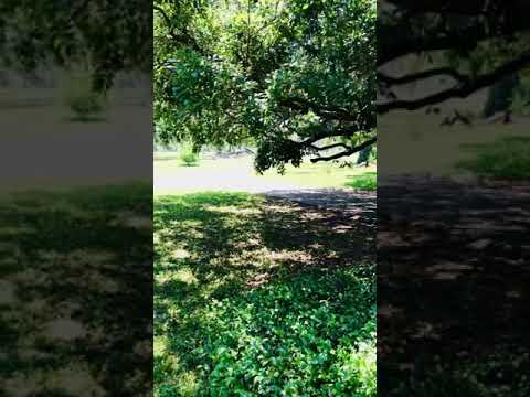 Video der Unterkunft