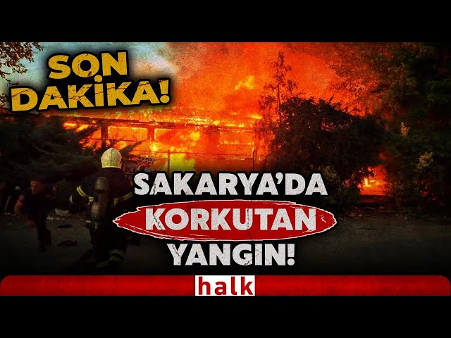 SON DAKİKA! Sakarya'da ormanlık alanda yangın: 25 ev boşaltıldı! Ekipler müdahale ediyor...