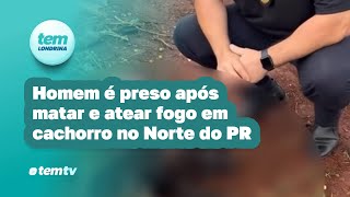 Homem é preso após atear fogo no próprio cachorro no Norte do Paraná