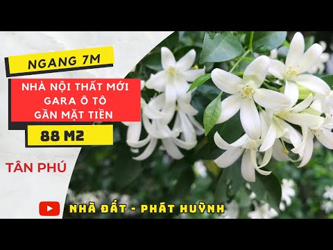 Rất gấp bán biệt thự ngang 7m, gara ô tới 7 chỗ lê trọng tấn, khu vip