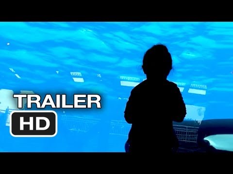 Blackfish'