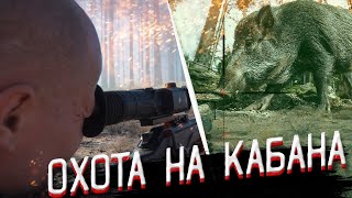 Охота на кабана и волка с Pulsar Digex Охота на кабана и волка с Pulsar Digex