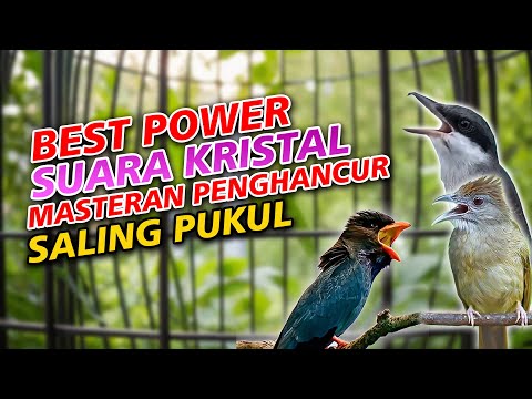 MASTERAN JINGJING PETULAK KAPAS TEMBAK TENGKEK BUTO POWER KRISTAL MESIN JAHIT AMPUH