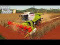 Claas Lexion 600 Series (Old Generation) v2.0