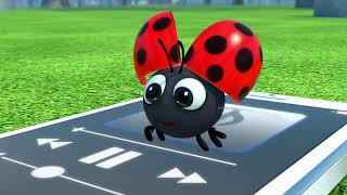 Cam a Leon 32 -  mobil