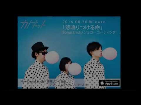 カトキット「怒鳴りつける命」トレーラー映像 2016.08.30 OUT!!