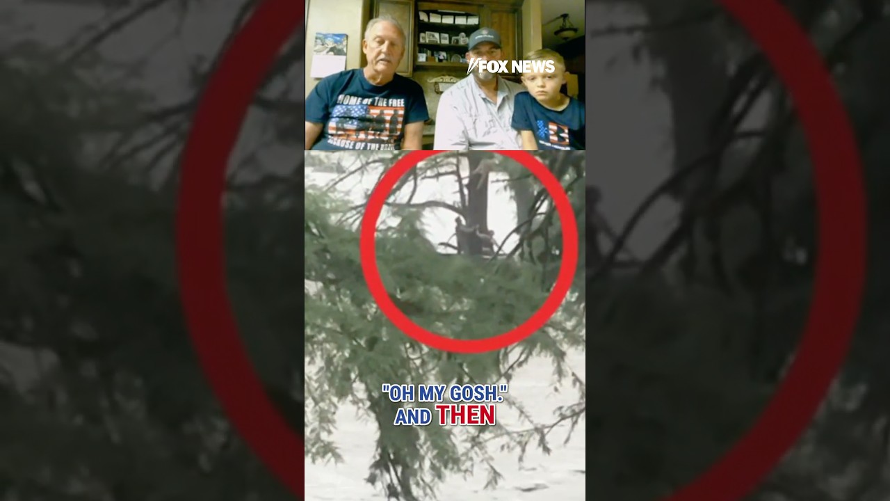 'JUST HANG ON': Texas family saves woman clinging to tree in floods #shorts #foxnews #usnews #texas
