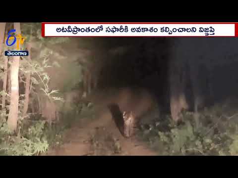Tiger spotted at Amrabad Tiger Reserve, IFS officer shares video Tiger spotted at Amrabad Tiger Reserve, IFS officer shares video