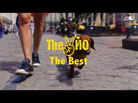 The VYO - The Best