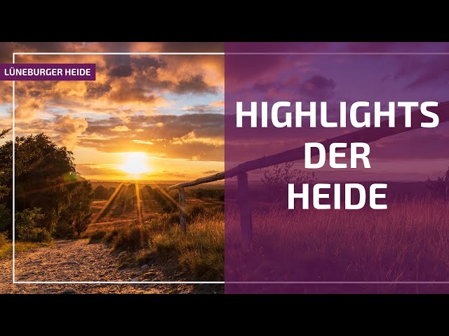 Vorschaubild für das Youtube-Video: Highlights der Lüneburger Heide