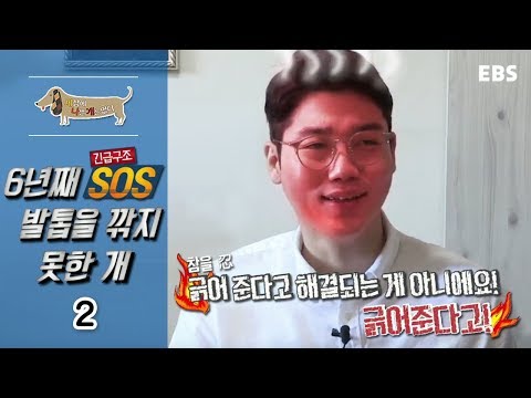 세상에 나쁜 개는 없다 - 긴급구조 SOS 6년 째 발톱을 깎지 못한 개_#002